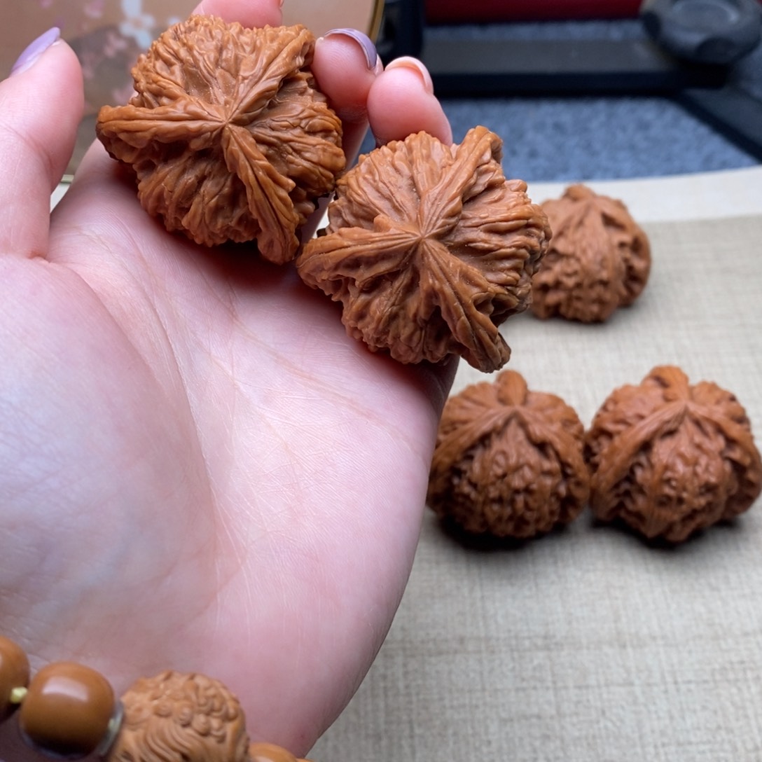 二*酒白狮子111111111