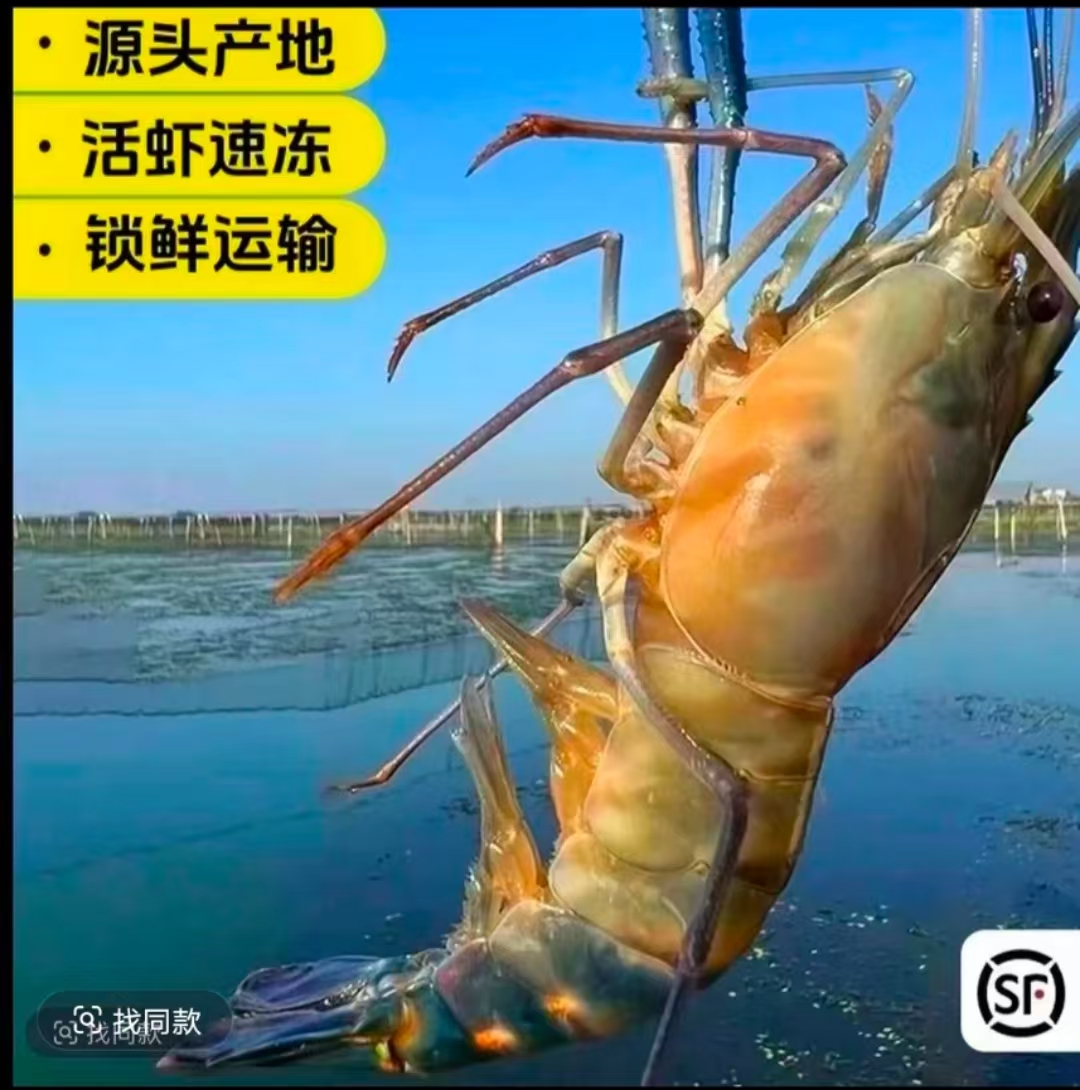 M【4斤】好鲜活速冻罗氏虾15-20只/斤肉质鲜美顺丰冷链发货包邮