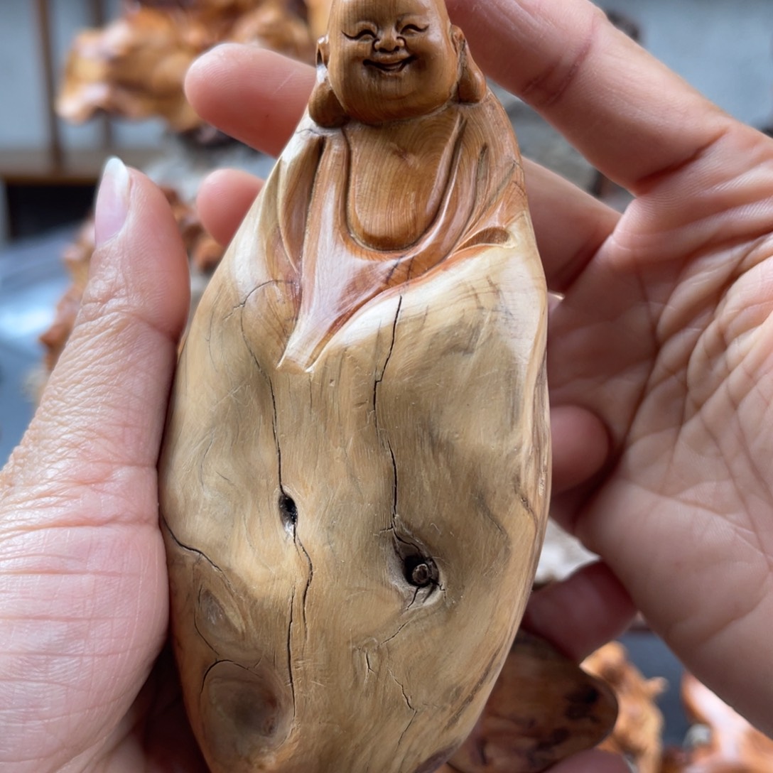 柏木（崖柏）崖柏太行山脉