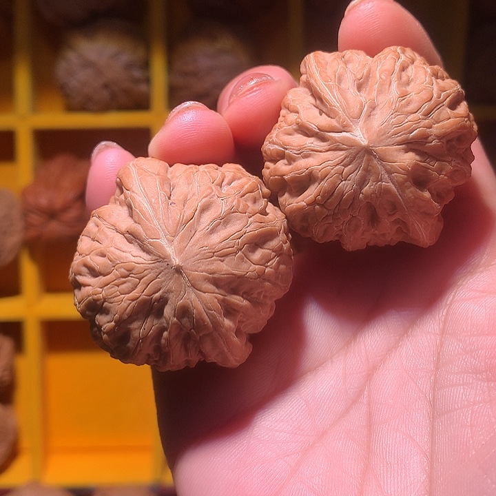 康***果大叶紫檀（黑酸枝木类）