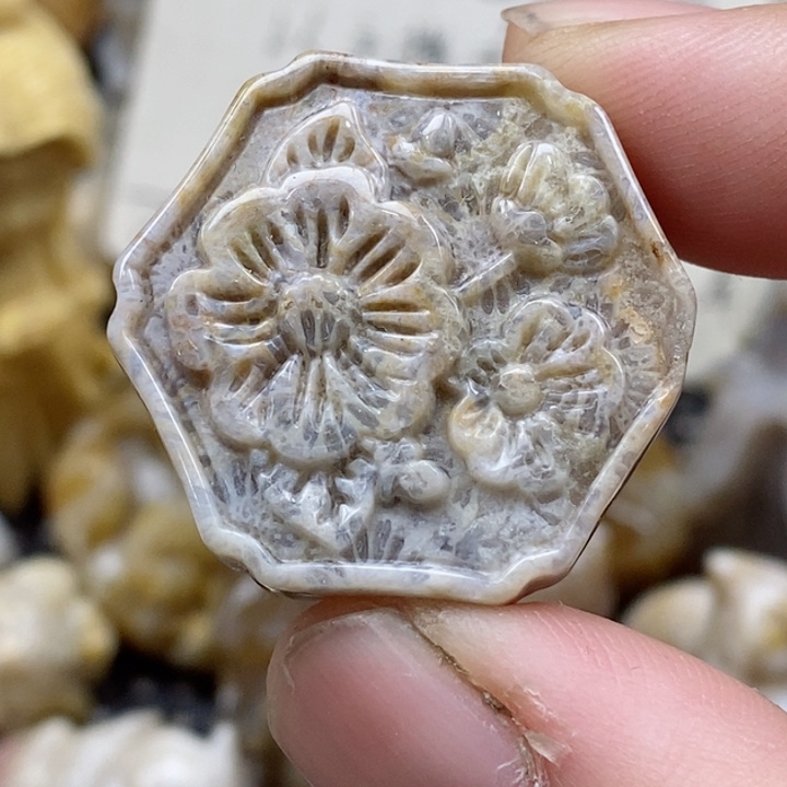 颈饰未镶嵌硅化珊瑚（珊瑚玉）小