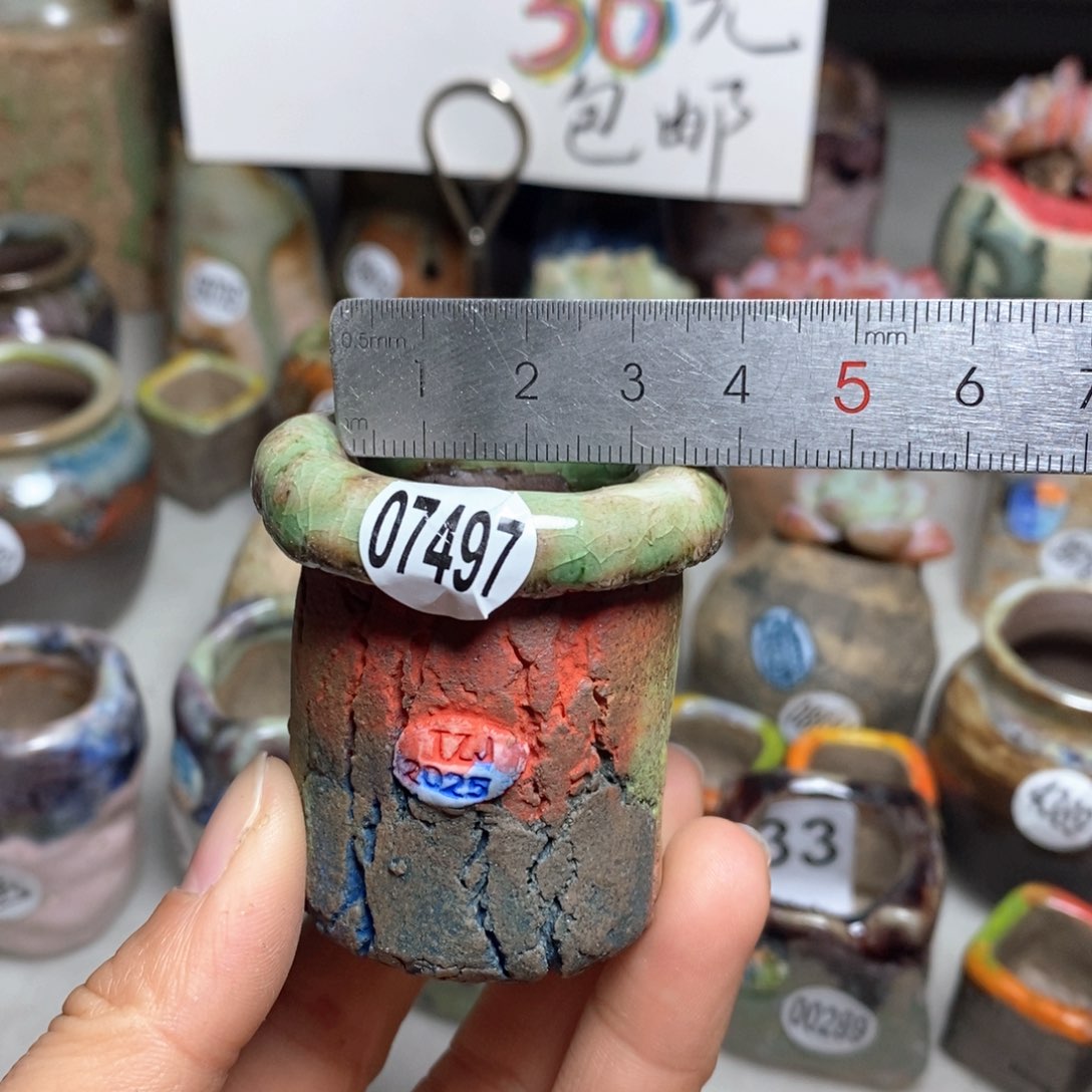 花盆拍3送一个小礼物