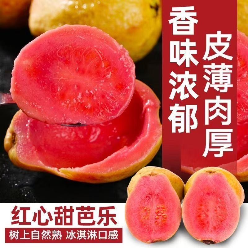 软糯香甜红心番石榴红心芭乐5斤大果甜应季孕妇水果整箱芭乐水果
