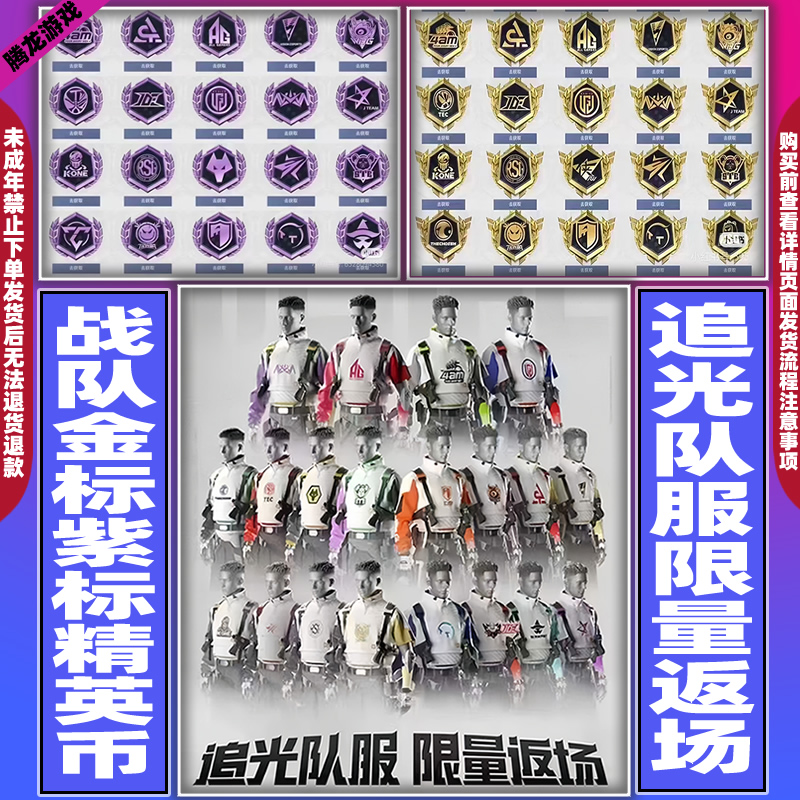 和平精英币吃鸡赛事币AG4AM追光队服战队服4级紫标logo5级金标