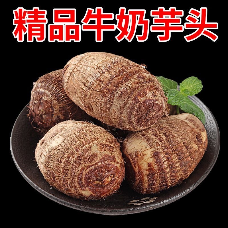 贵州牛奶芋头芋艿新鲜应季现挖现发产地直发香甜软糯芋头