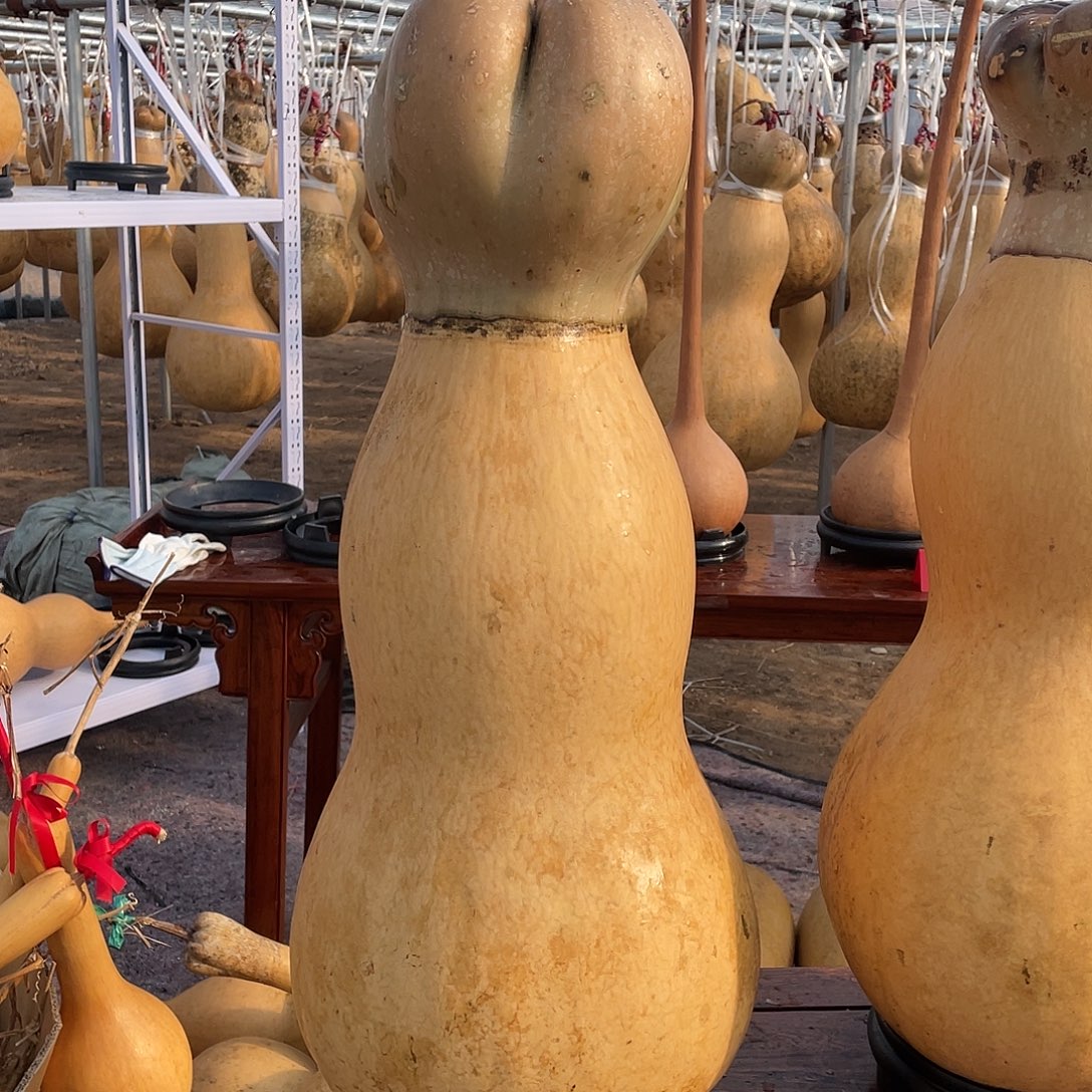 等***！木大葫芦不包邮不包邮