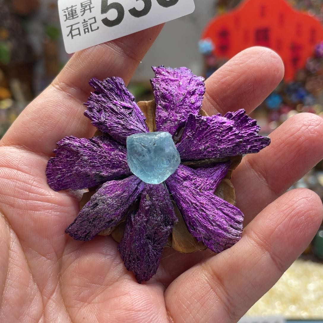 核桃木/黑胡桃（胡桃木）533