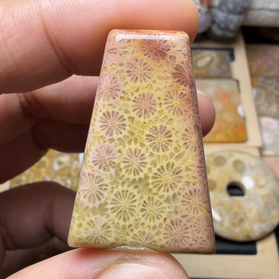 硅化玉未镶嵌纯天然色有机玉石保真色