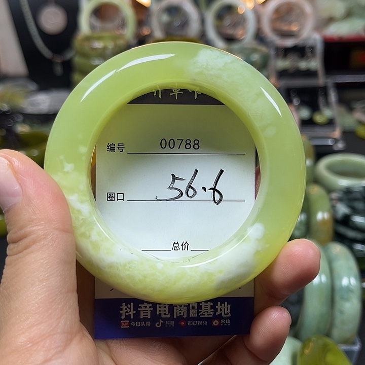 杨****蛇纹石玉未镶嵌颈饰