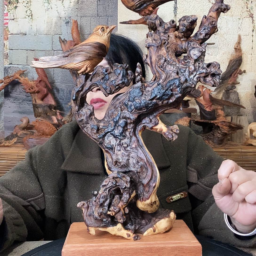 *****松木琥珀木报喜鸟