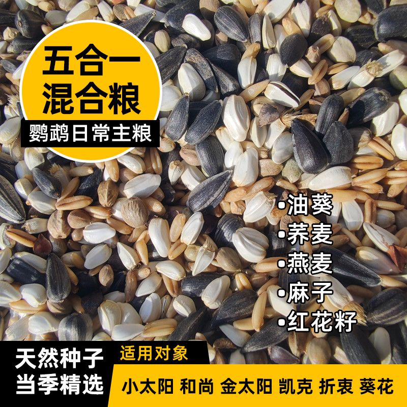 五合一混合鹦鹉鸟粮小太阳和尚金太阳凯克中大型带壳种子饲料鸟食