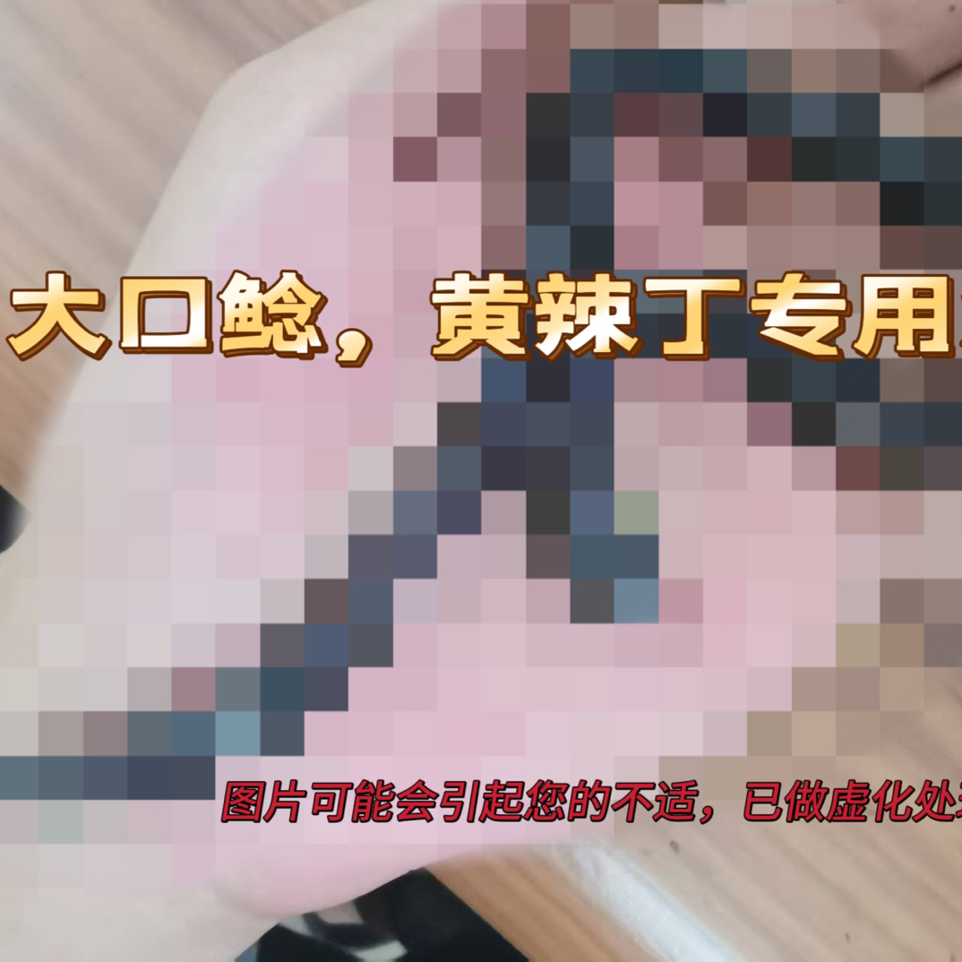 鲜活黑蚯蚓 （大口鲶  黄辣丁等）活饵 （不支持无理由退换介意勿拍）