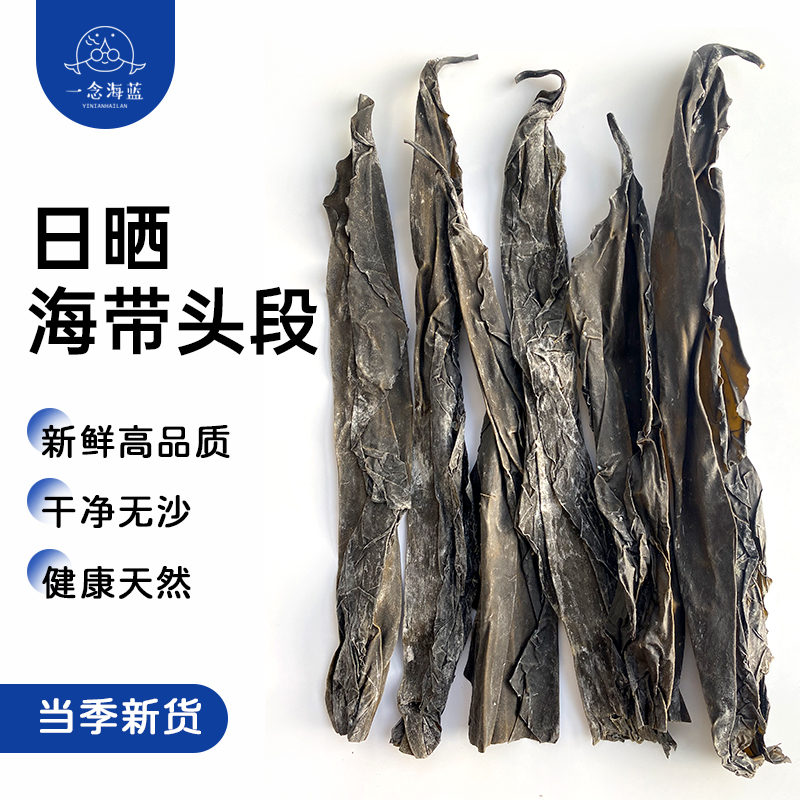 一念海蓝 霞浦特产干海带头段 日晒原生态 出口级 无泥沙