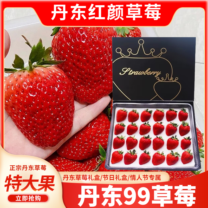 黑金礼盒正宗丹东99草莓新鲜红颜草莓特大果九九大草莓