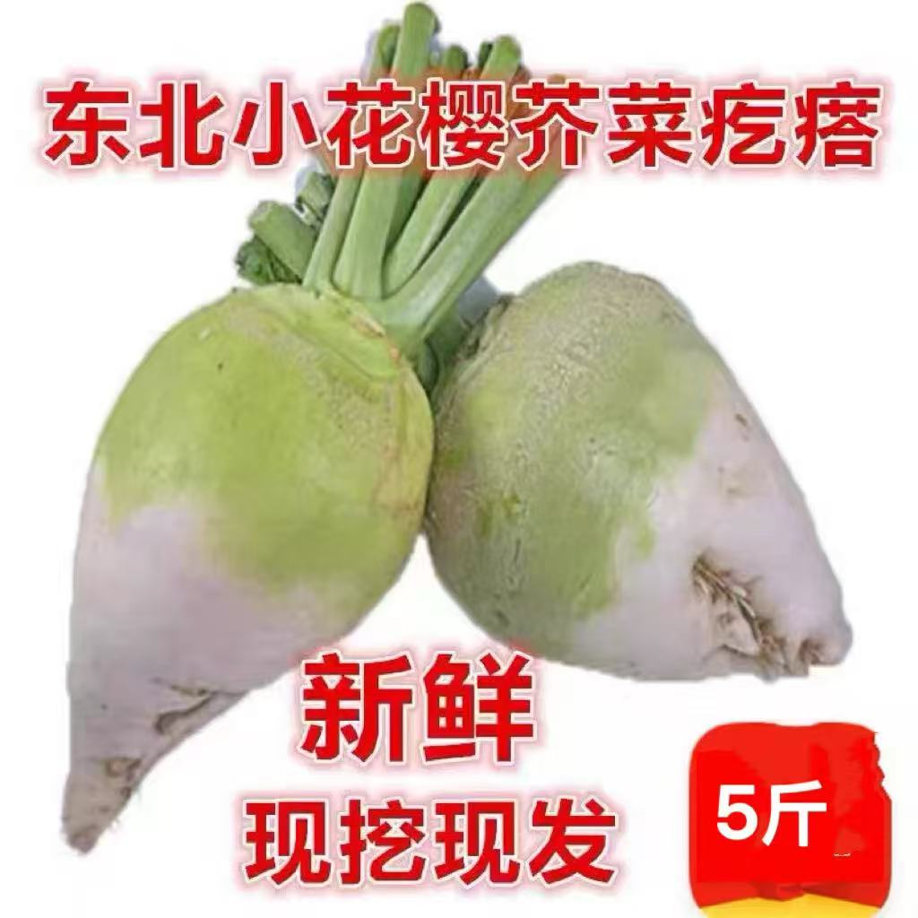 东北现挖新鲜小花樱芥菜疙瘩