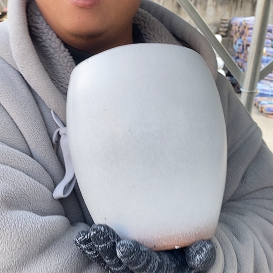 瑕疵颜色不挑瑕疵