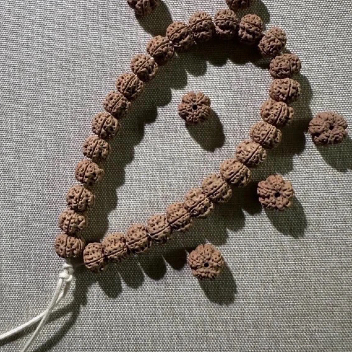 「老树龙爪凹底梅花单圈」毕业小金刚菩提