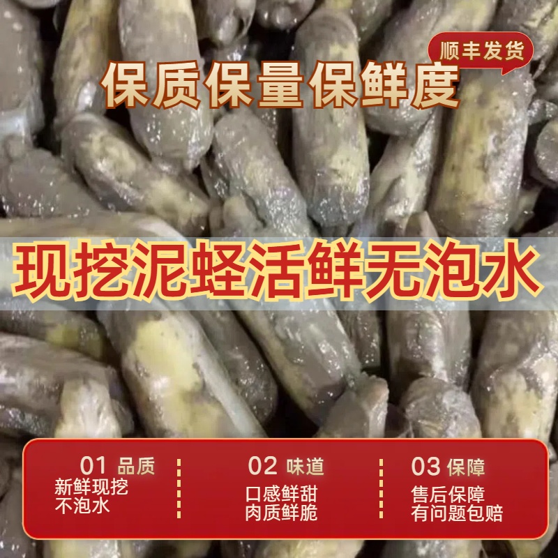 【到手包活】新鲜现挖带泥发货哆头蛏 泥蛏海蛏活鲜不泡水顺丰包邮