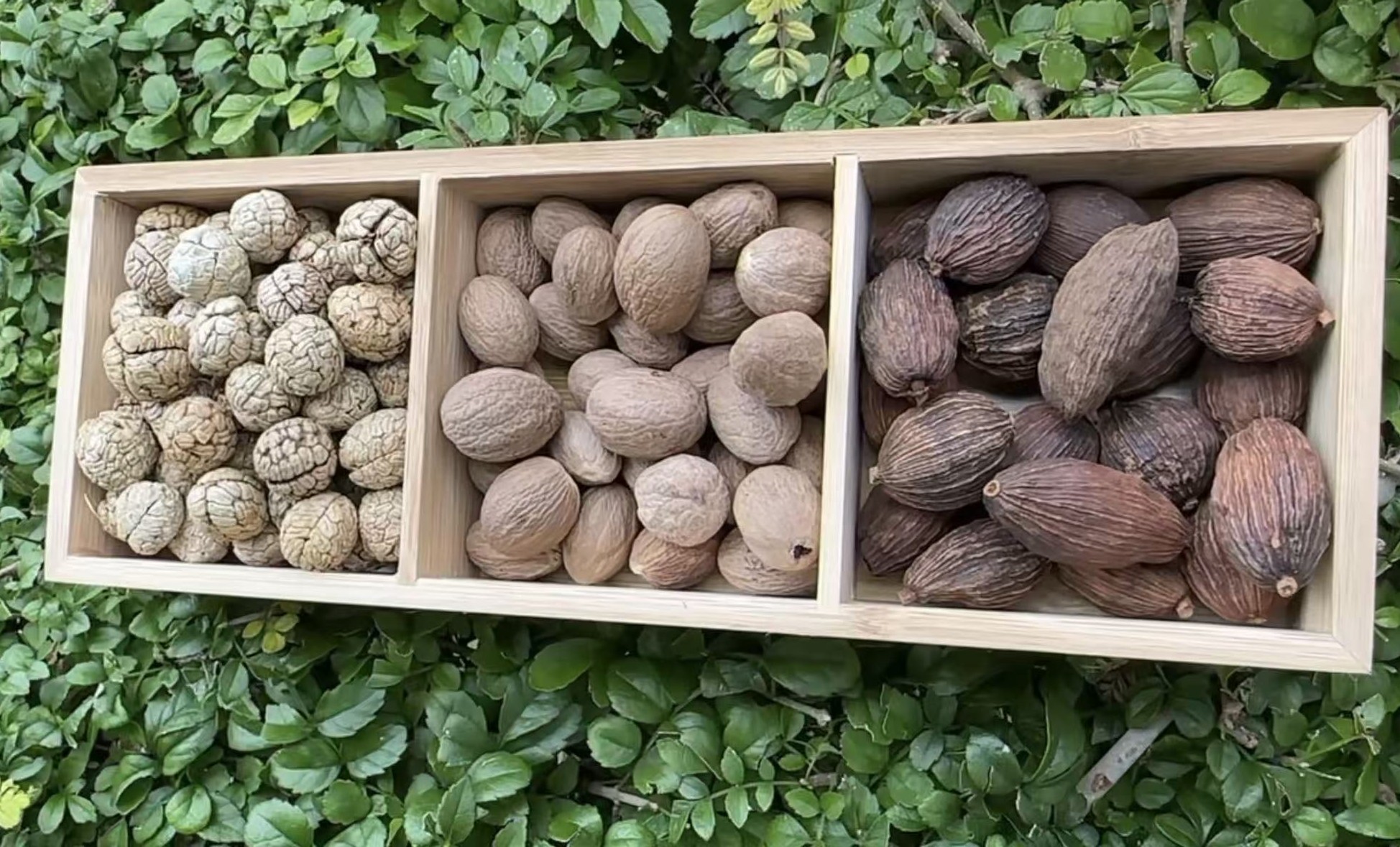  123号链接 草蔻肉蔻草果卤肉炖肉三剑客 多规格可选