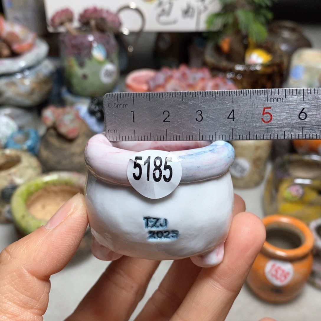 花盆拍3送一个小礼物