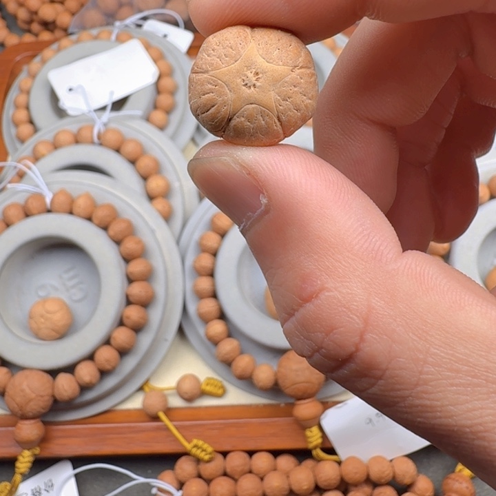 吊坠凤眼菩提18+正五星粉皮