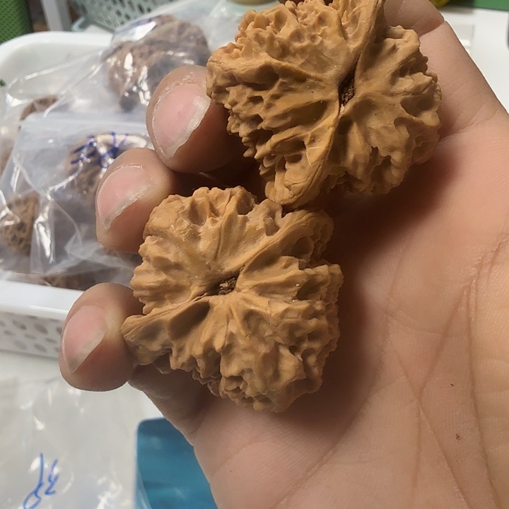 追***者核桃全品梅花核桃