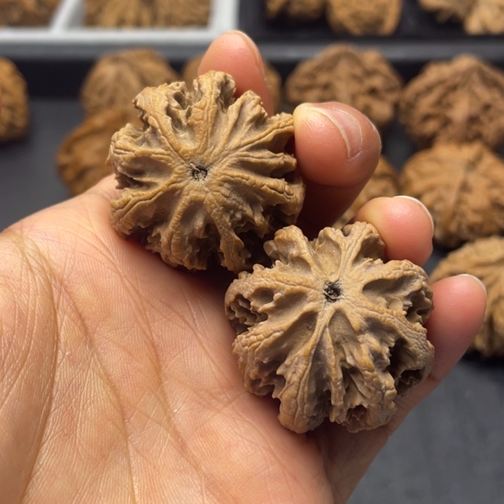 吊坠文玩核桃突突突突突突突