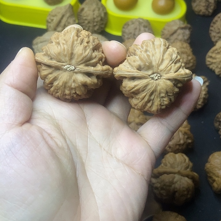 文玩核桃  大粗筋   