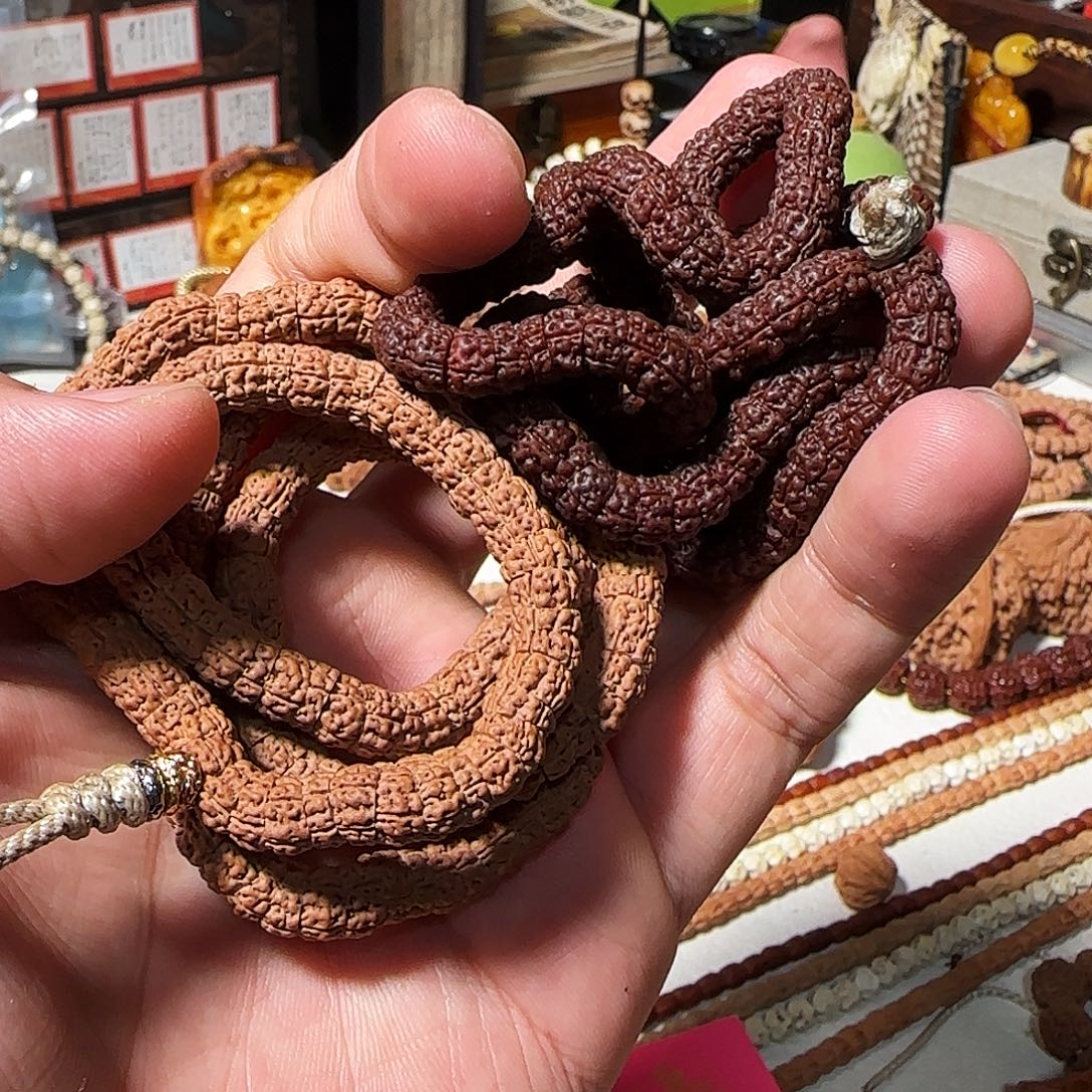 手串柏香籽/百香籽倚天大肠