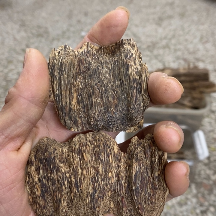 啊****国香软油起泡油14克