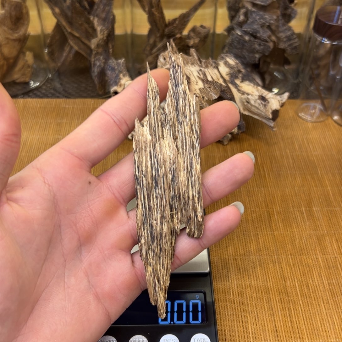 l***a海南天然斜壁吊齿5.9g