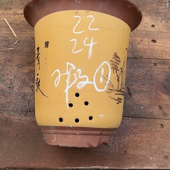 紫砂工艺厂……紫砂工艺厂……