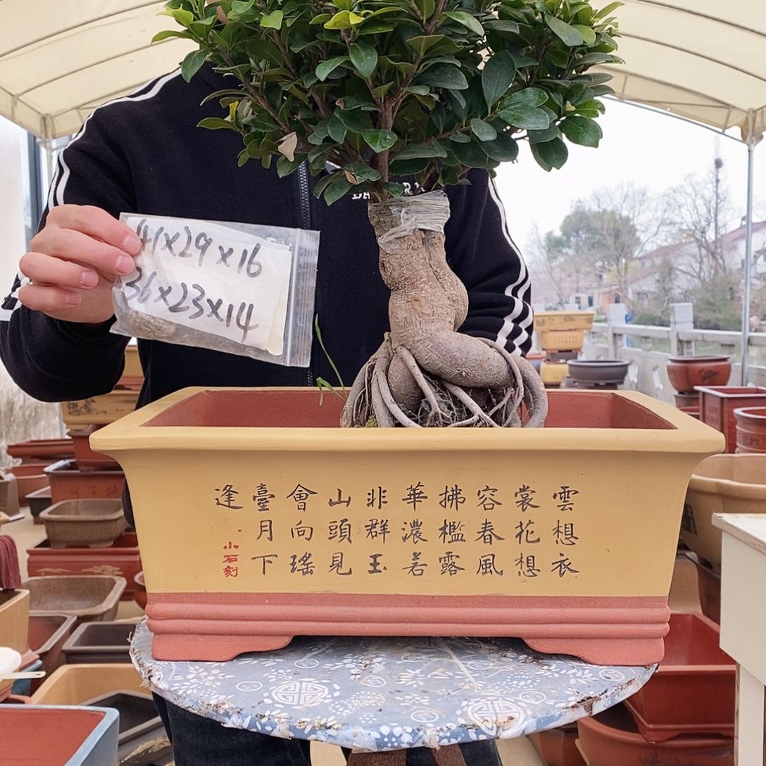 紫砂花盆紫砂艺术