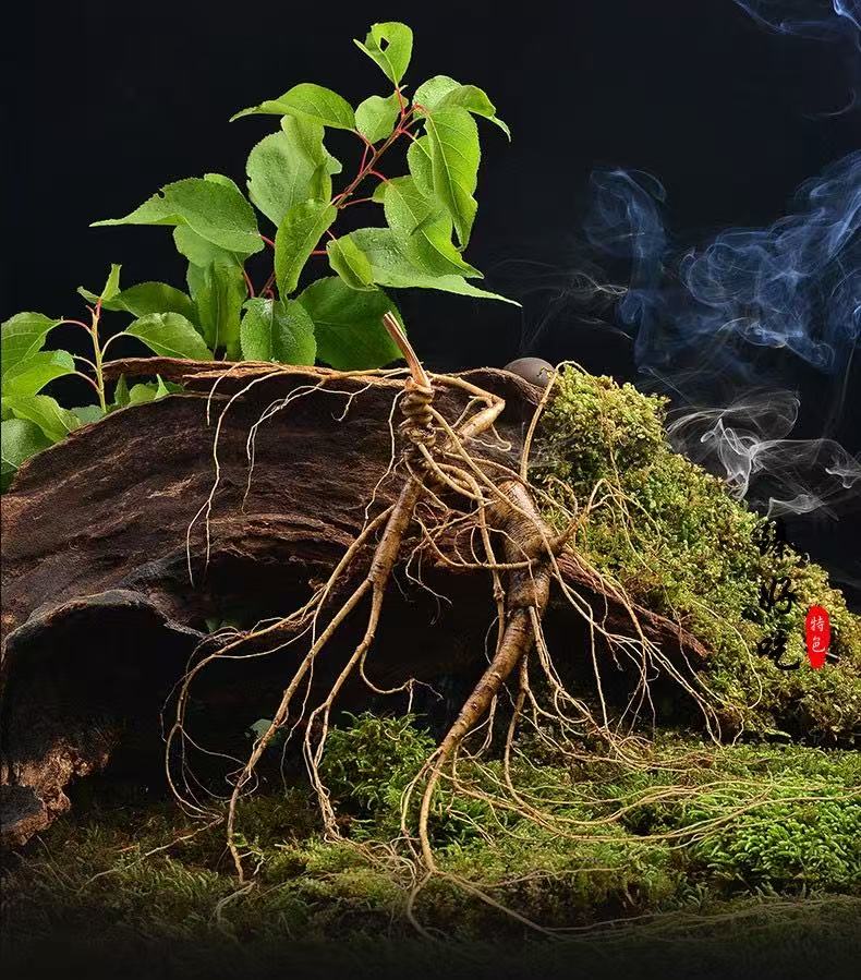 {泡酒好参优质鹿茸~代拍链接}  吉林长白山鲜参