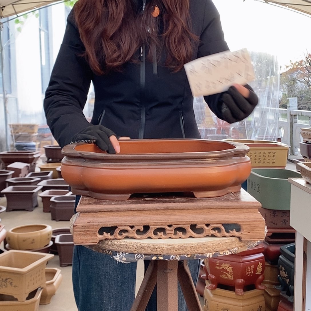 紫砂花盆紫砂花盆