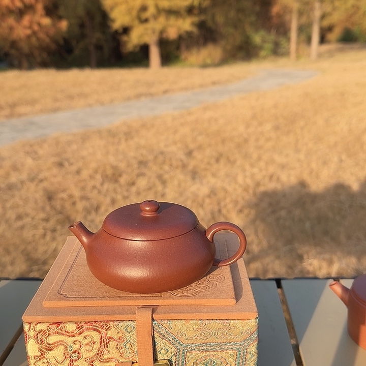紫砂茶壶紫砂壶红皮龙新人价