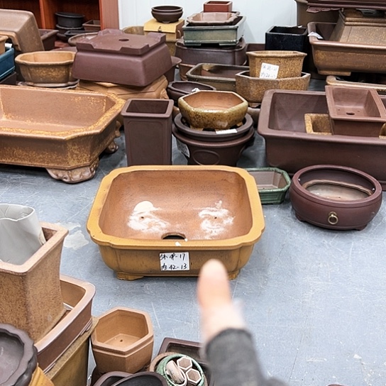 红陶云*紫砂花盆里放的东西