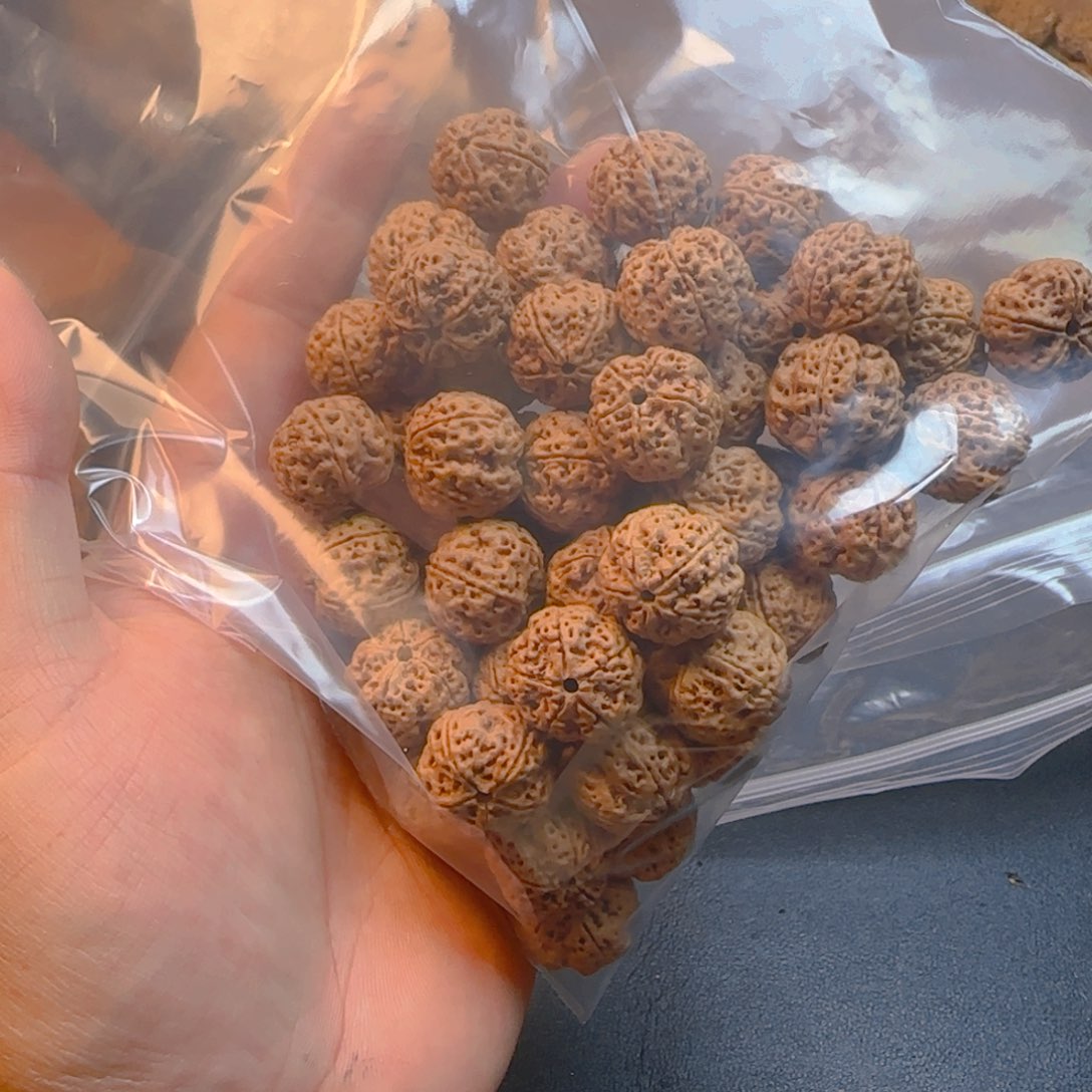 金刚菩提手串大金刚散籽18尺寸50颗