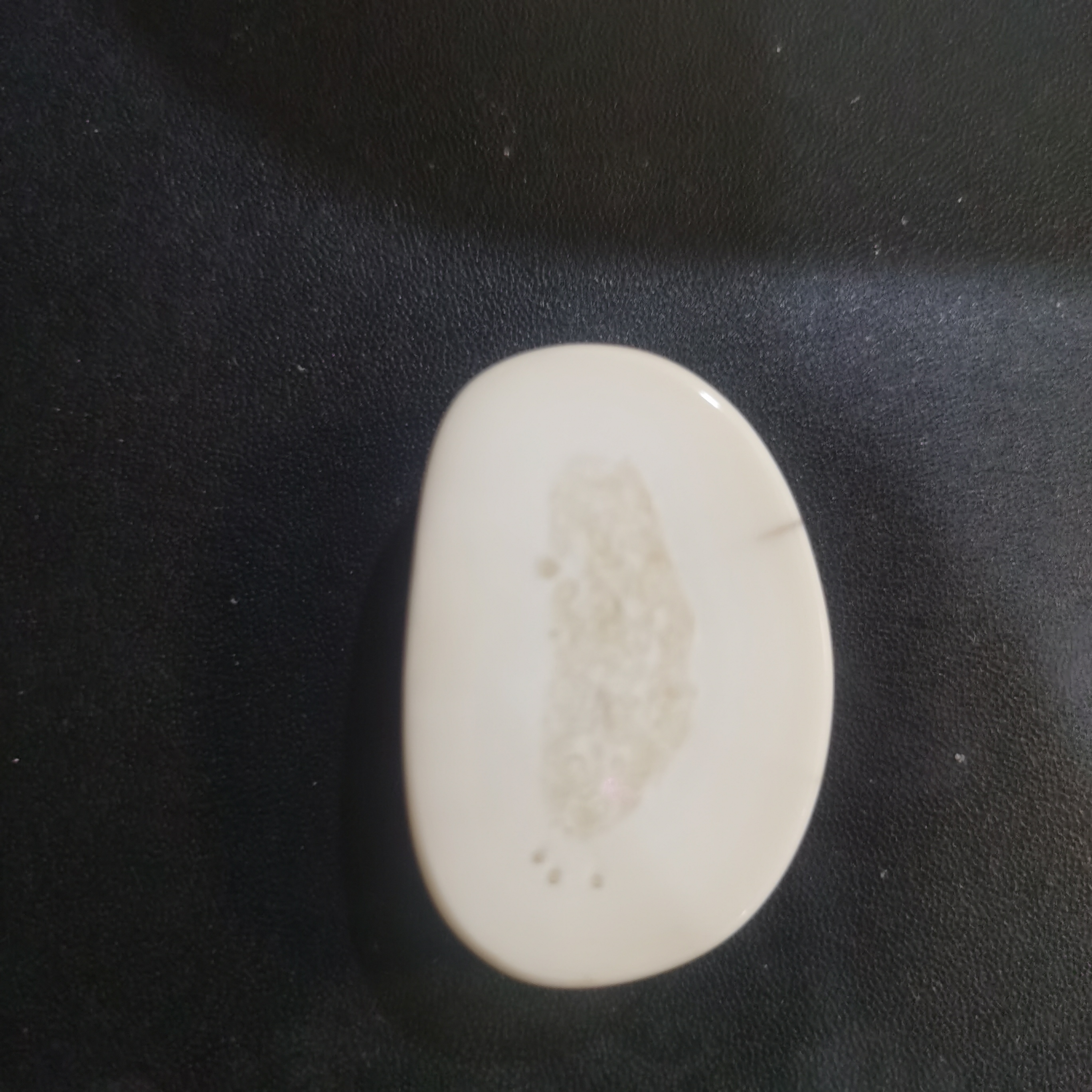 猛犸猛犸虬饼子 WT246