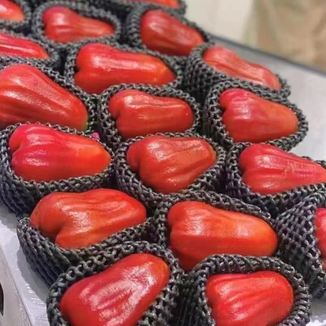 空运云南莲雾（1个）