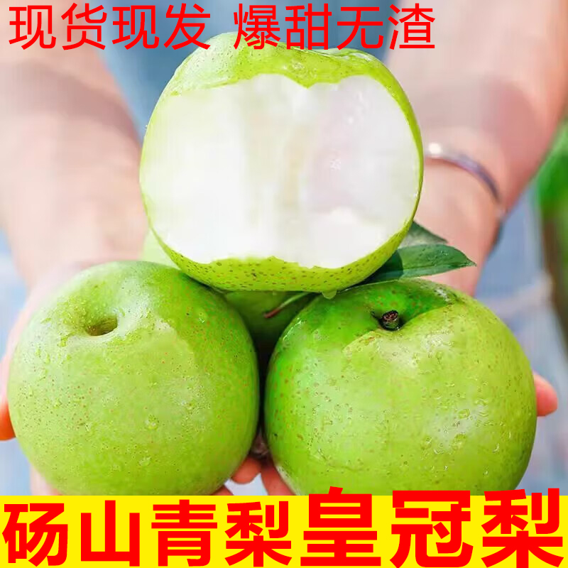 砀山青皮蜜梨皇冠梨新鲜脆甜多汁解暑水果5斤大果坏果包赔