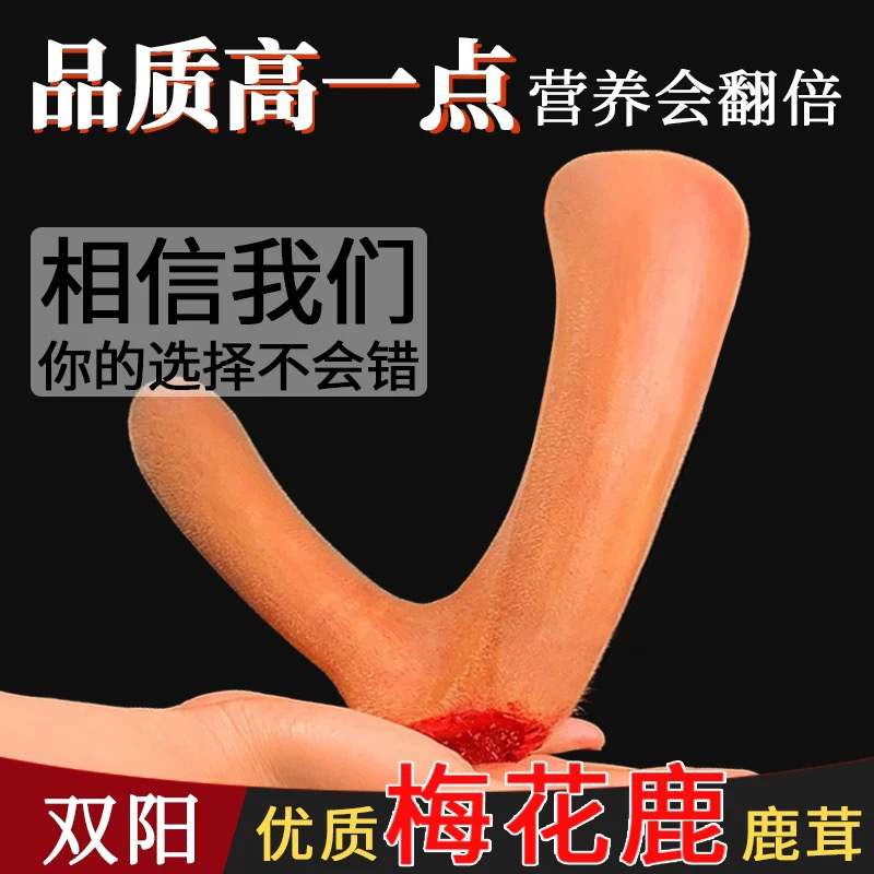 东北产地直发头茬鲜煲汤泡酒炖菜滋补佳品