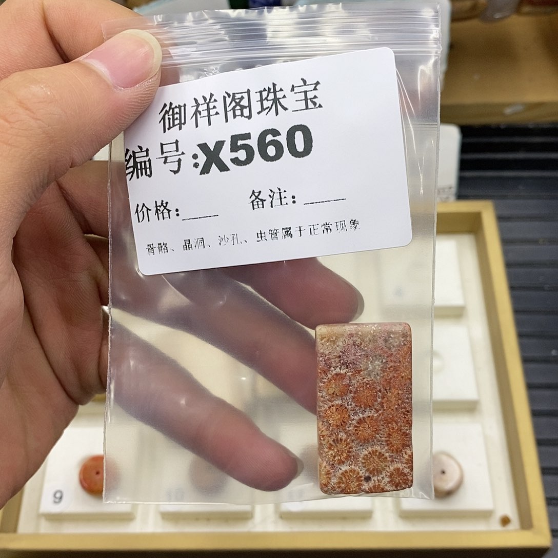 硅化珊瑚（珊瑚玉）未镶嵌颈饰?****?