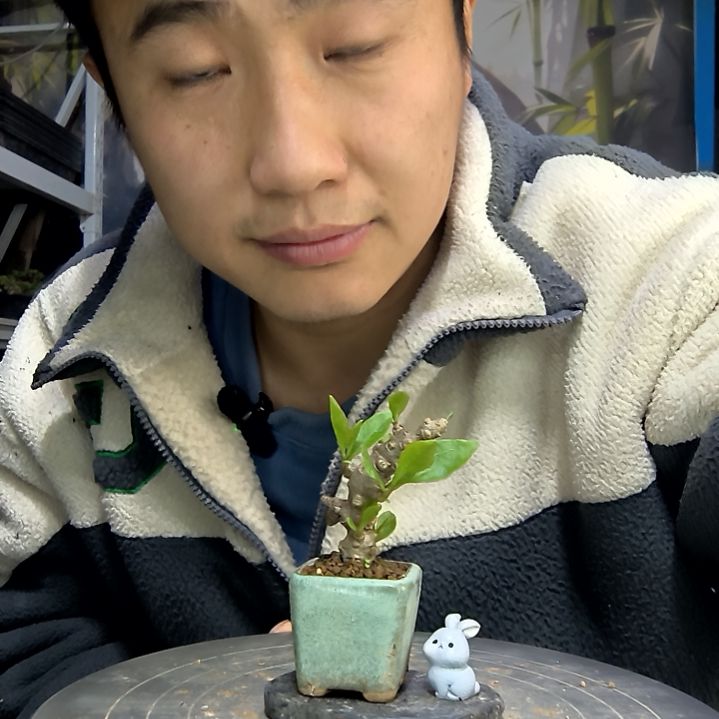 小*中青园艺一物一拍花486