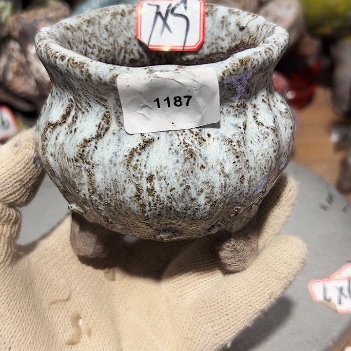 粗陶花盆制作就这样的