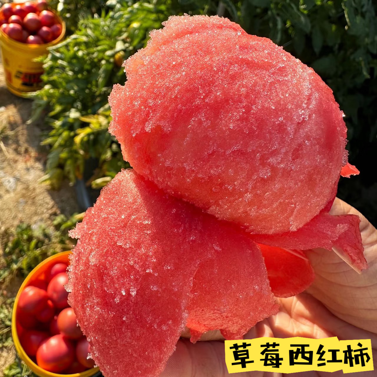 草莓西红柿【尝鲜3斤装）