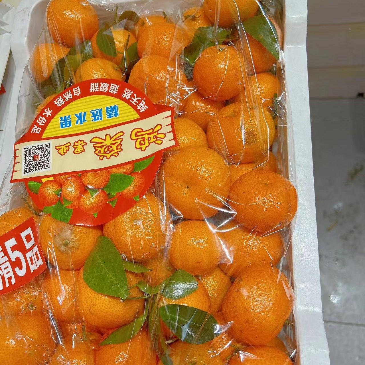 沙糖桔一箱毛重10 斤广西壮族自治区