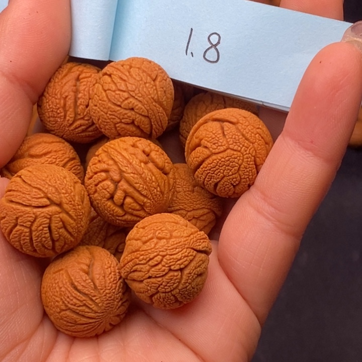 秦岭龙纹桃核14颗
