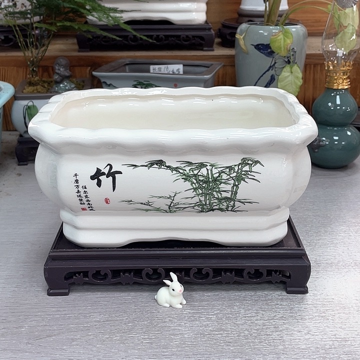 陶瓷花盆抢购福利活动中