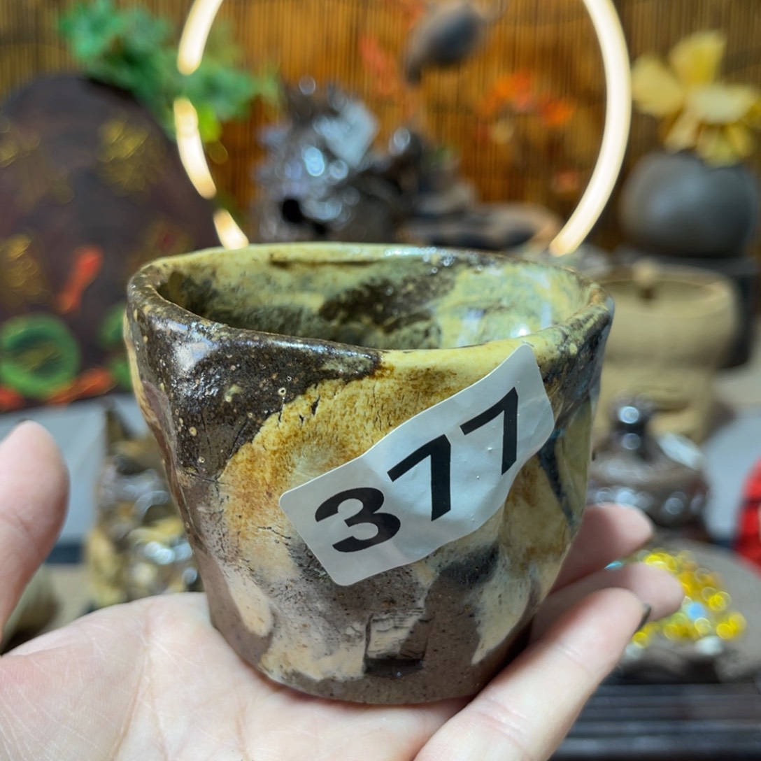 木村信弘柴烧保平